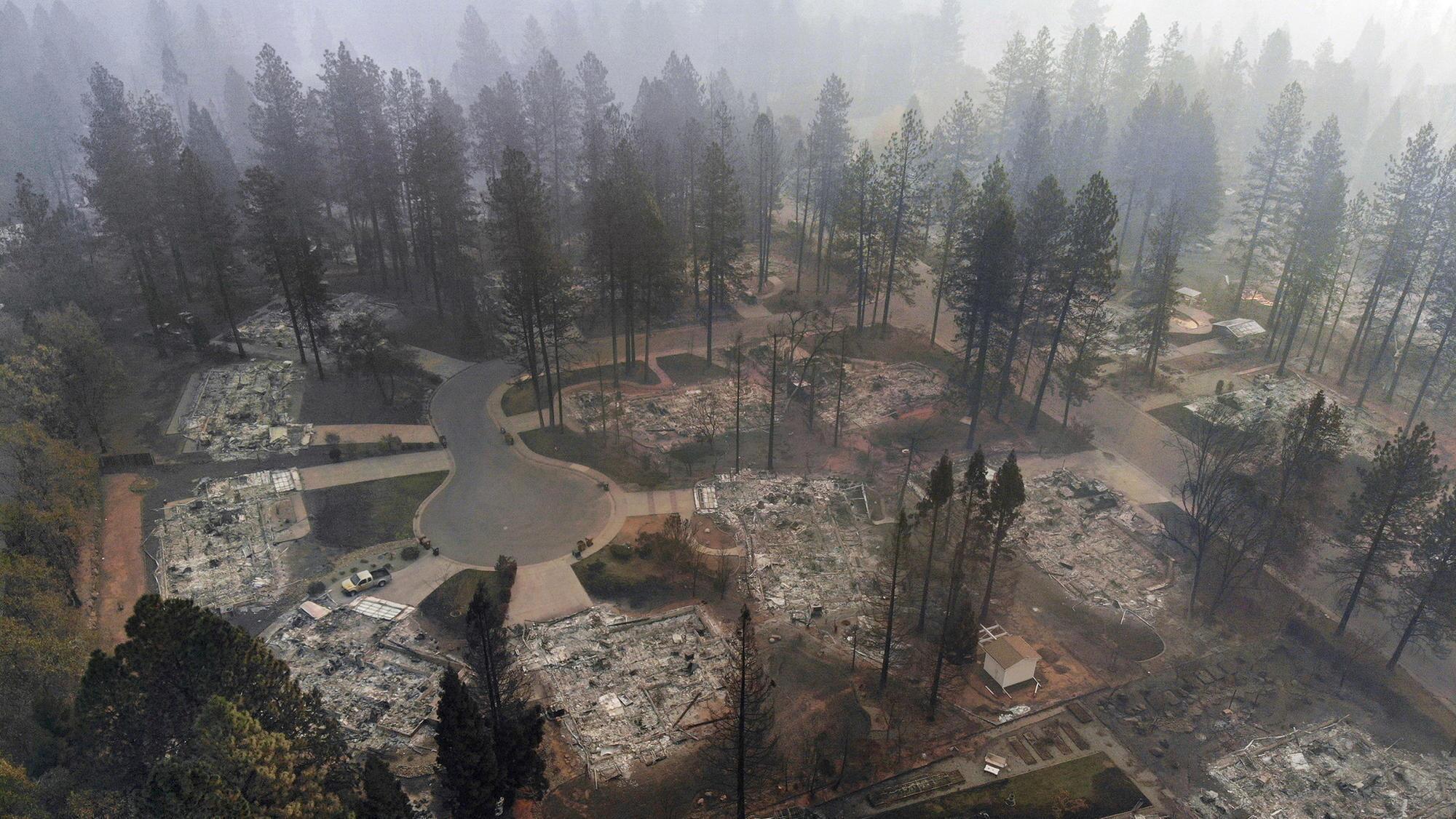 A cul-de-sac of homes burned to their foundations is surrounded by conifers.