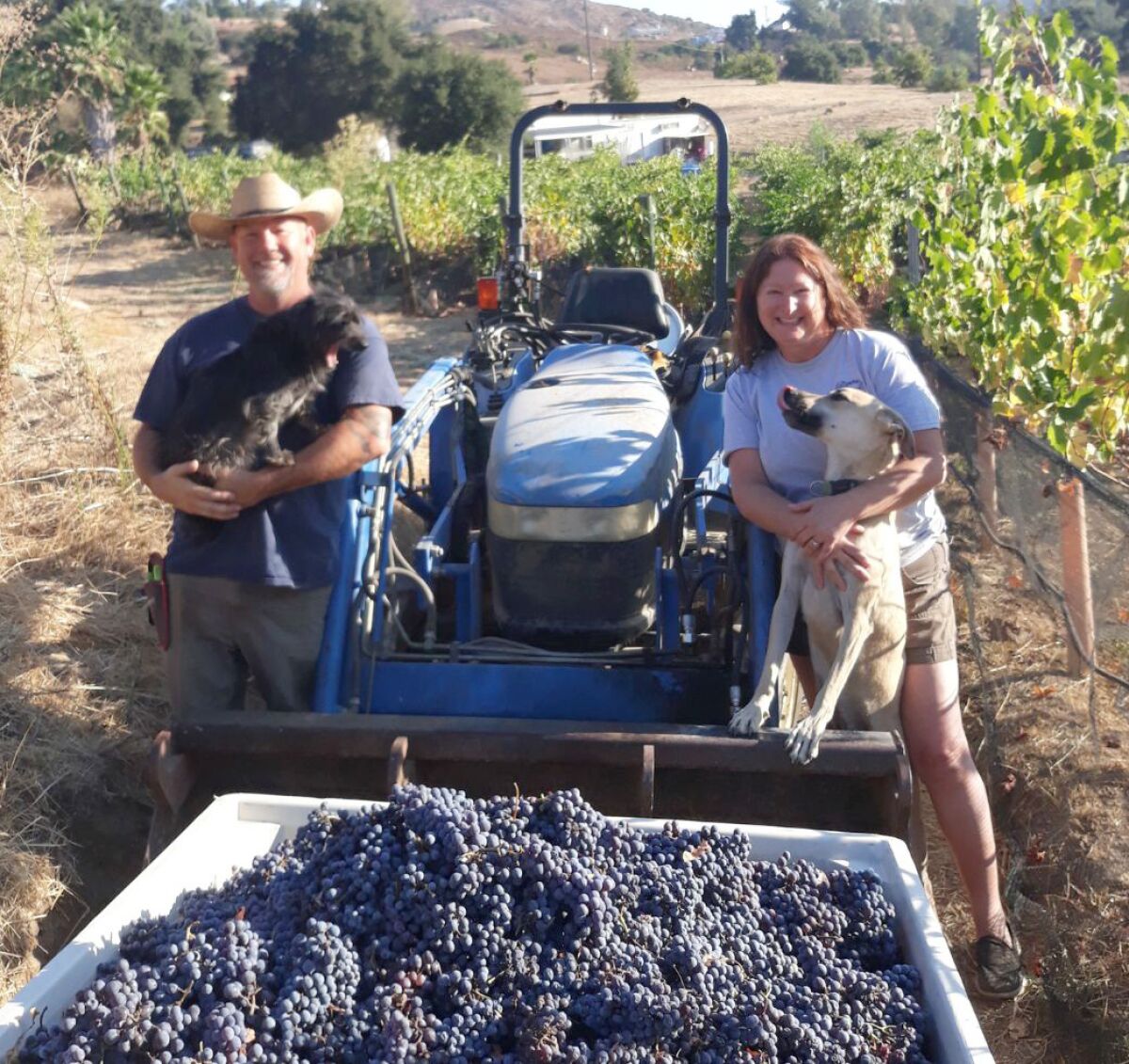 Micole Moore, left, and Teri Kerns of Ramona Ranch Vineyard & Winery encourage winemakers to complete the SDSU survey.