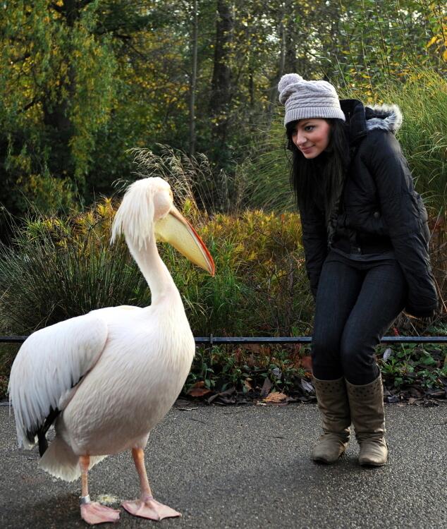 A woman beside a stork
