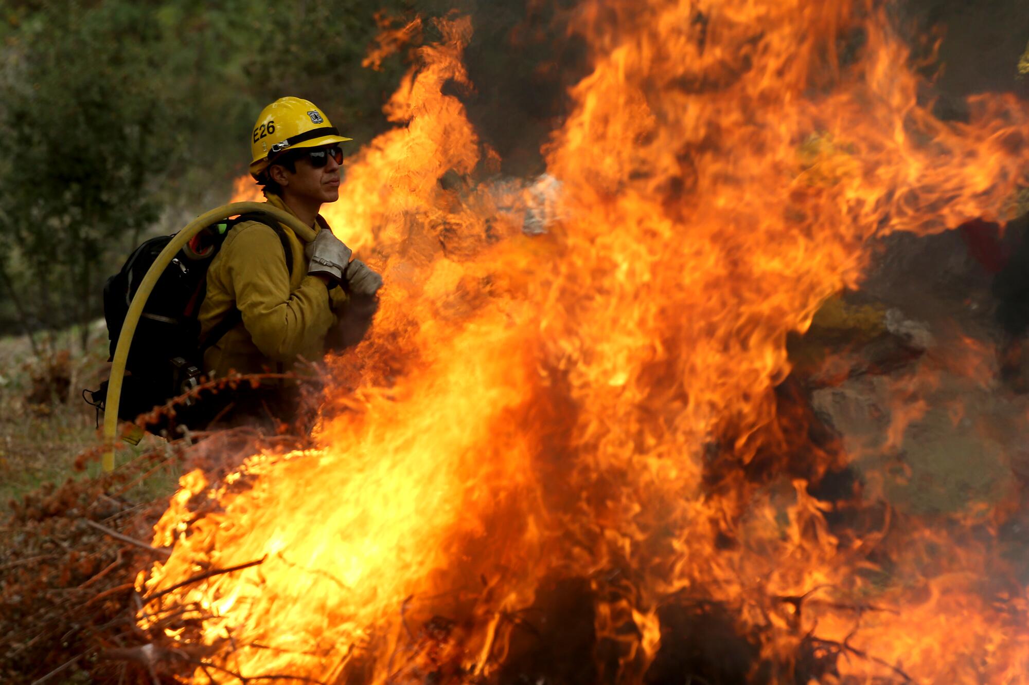 U.S. Forest Service firefighters burn piles of forest debris. 