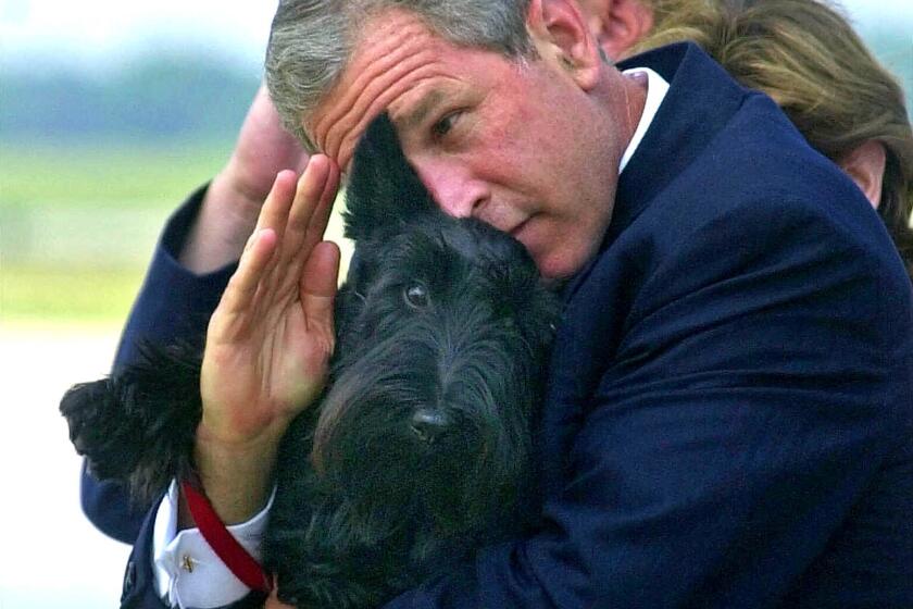 President Bush salutes while holding Barney as they get off Air Force One at Andrews Air Force Base.