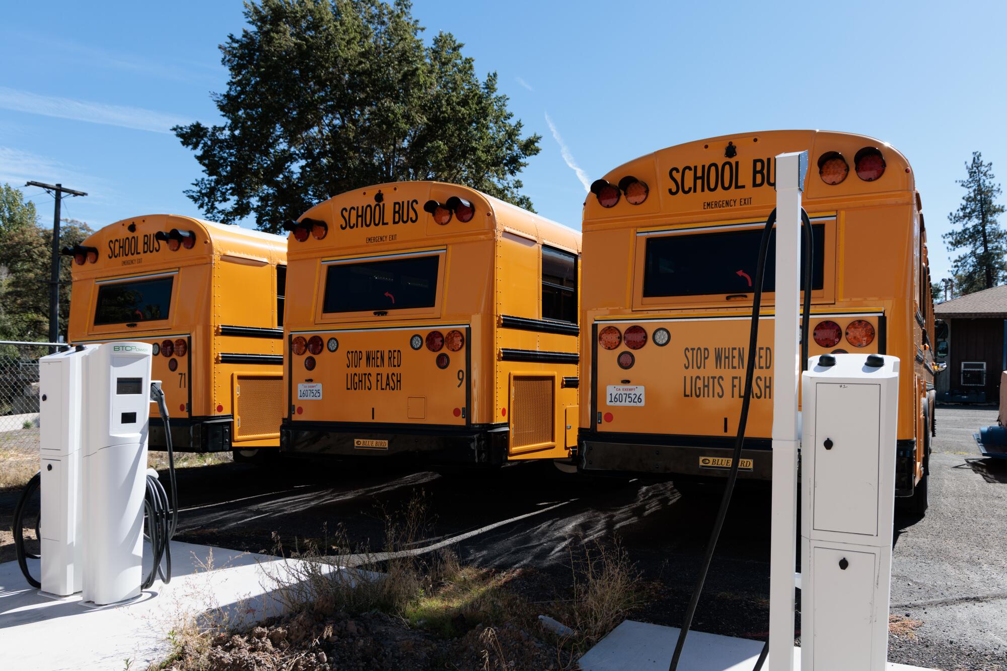 Three yellow school buses are parked behind two white, short, vertical structures with cords attached.
