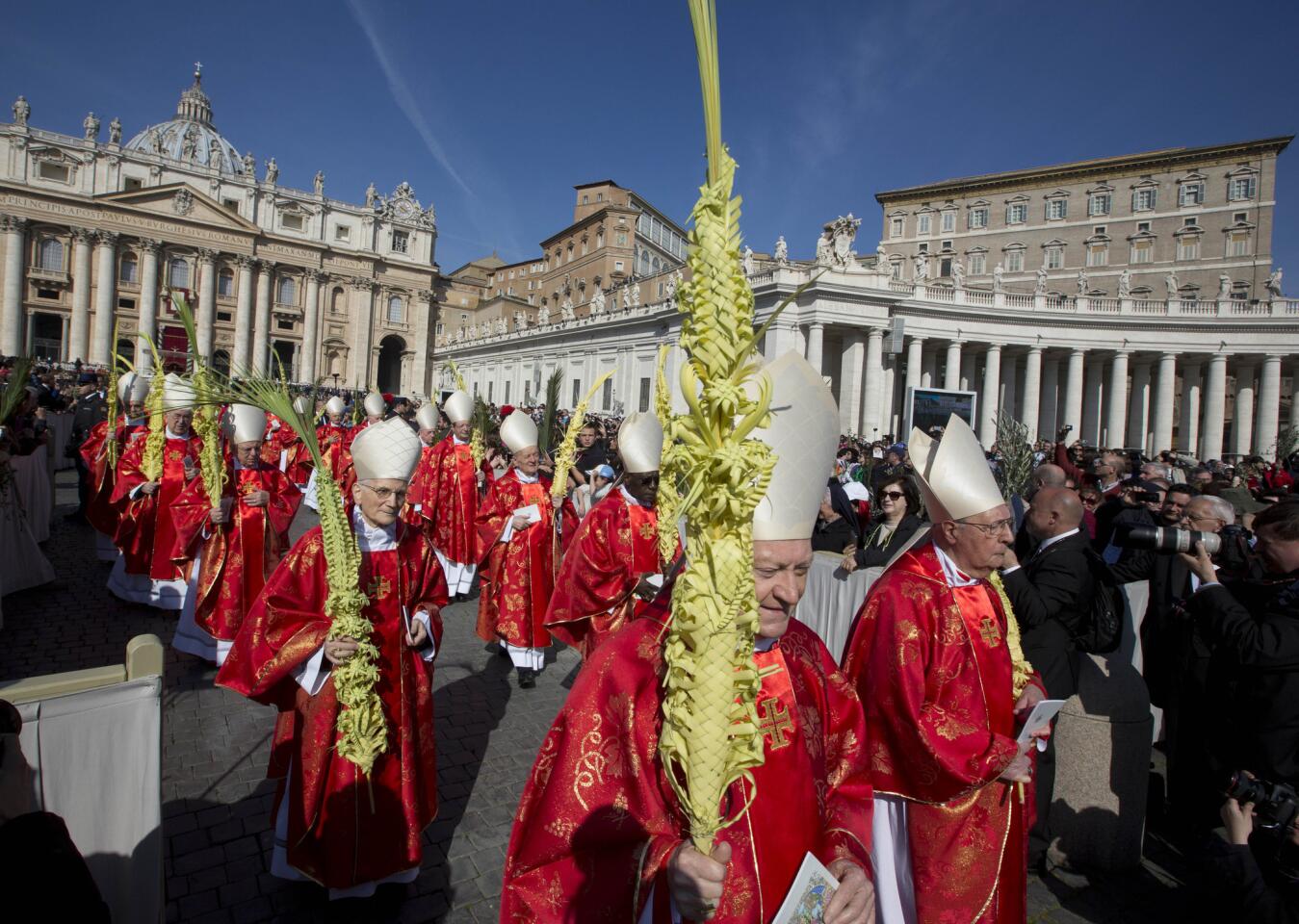 Cardinals walk in procession as they celebrate a Palm Sunday Mass, in St. Peter's Square, at the Vatican, Sunday, March 20, 2016.