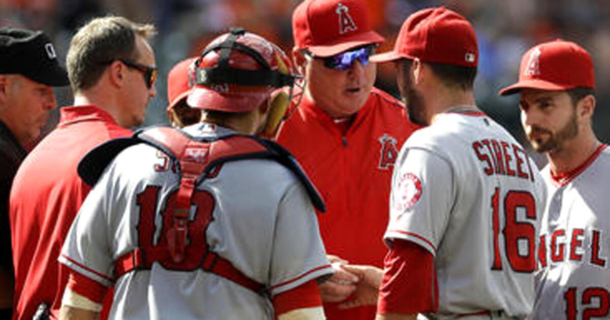 Column: Mike Scioscia will leave the Angels but his toughness will remain  with the organization - Los Angeles Times