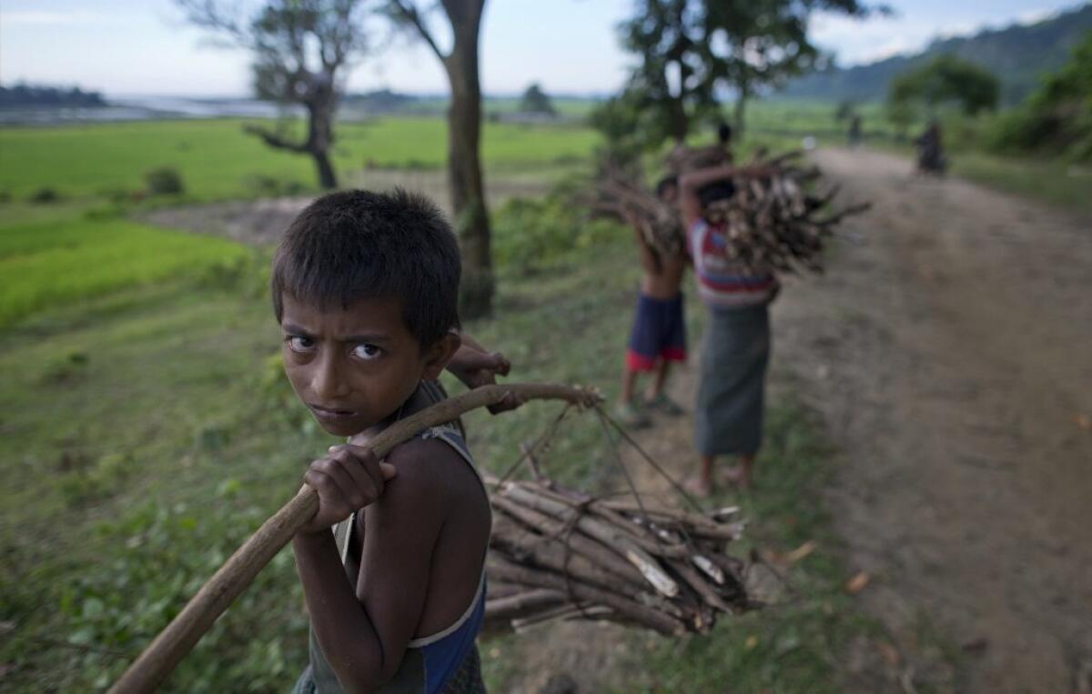 Muslim children in Myanmar's Rakhine state are seen carrying bundles of sticks collected from a forest to sell as firewood.
