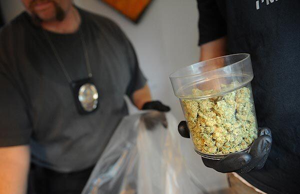 Los Angeles police officers seize marajuana at the Colorado Collective on Colorado Boulevard during a dispensary bust in Eagle Rock.