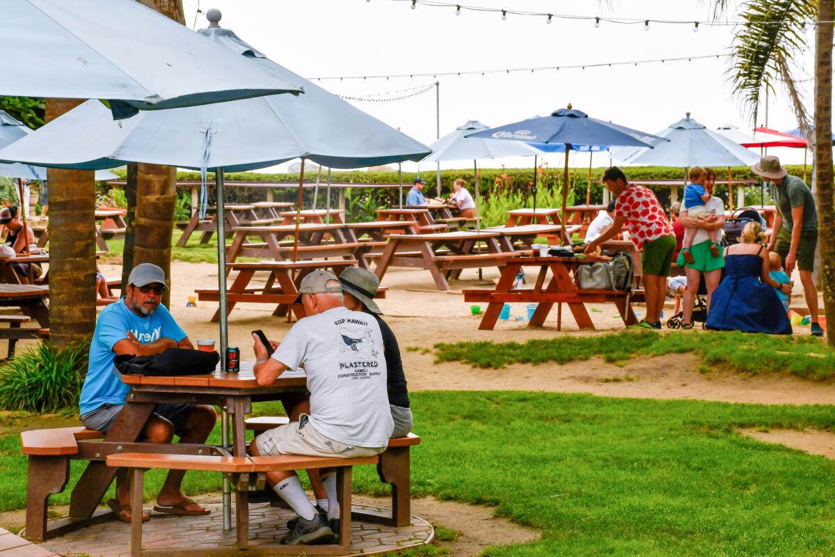 Picnic tables with umbrellas