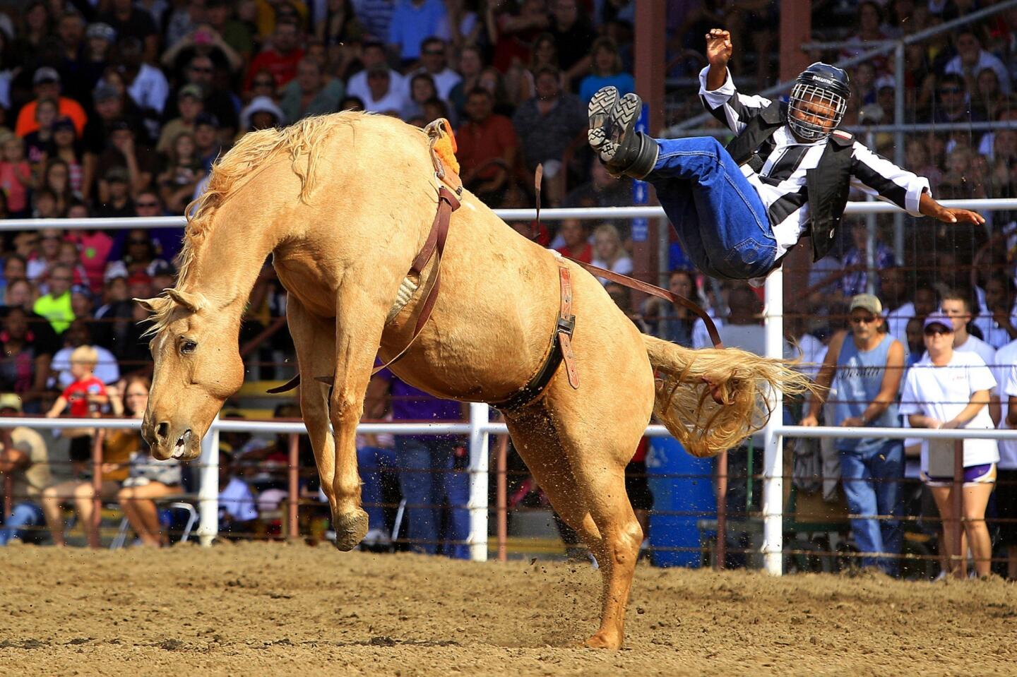 An inmate is thrown from a bronco while participating in the bareback riding competition during the prison rodeo held at the Louisiana State Penitentiary.