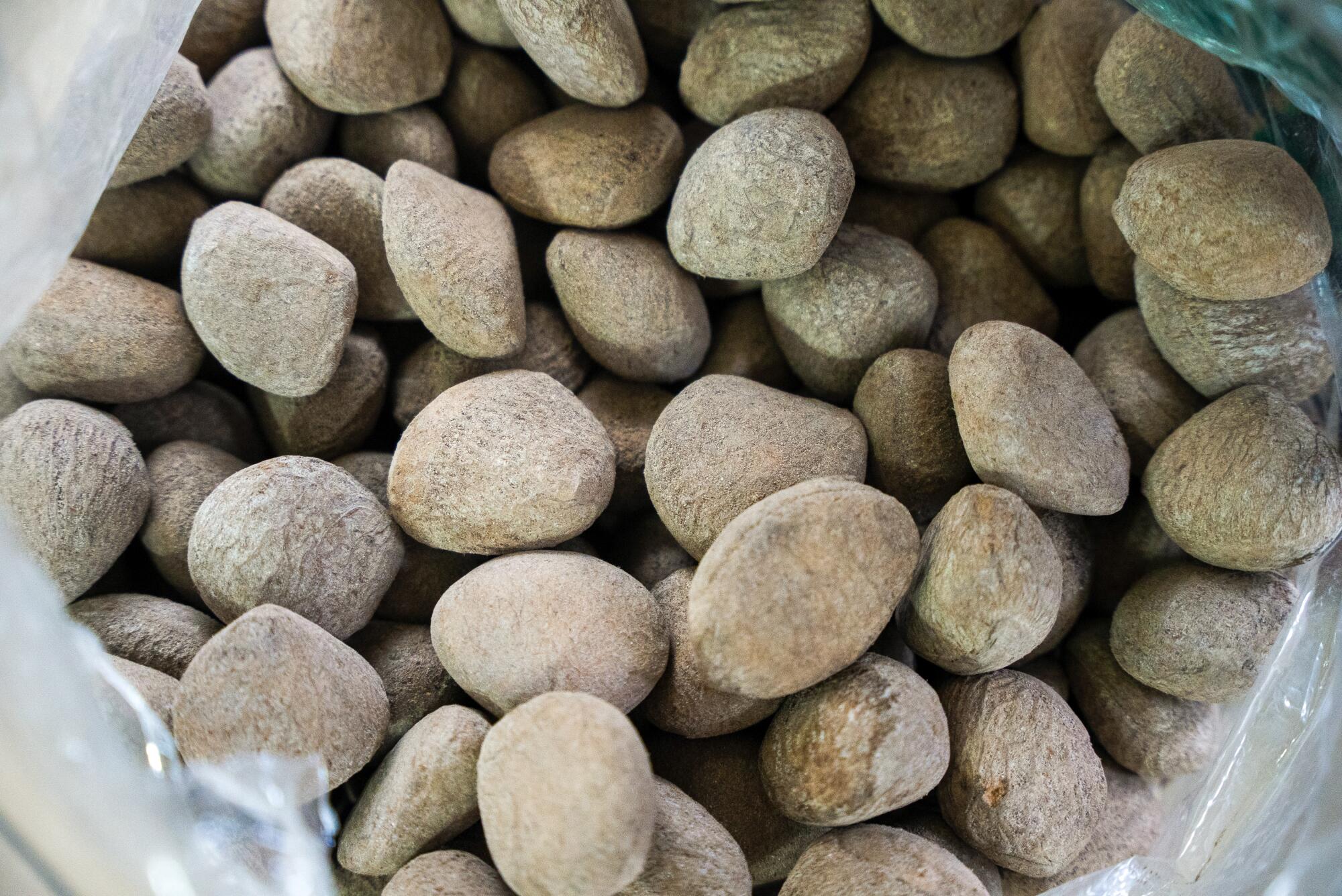 A bag full of buah keluak nuts, also known as pangium, at the Geylang Serai market in Central Singapore.