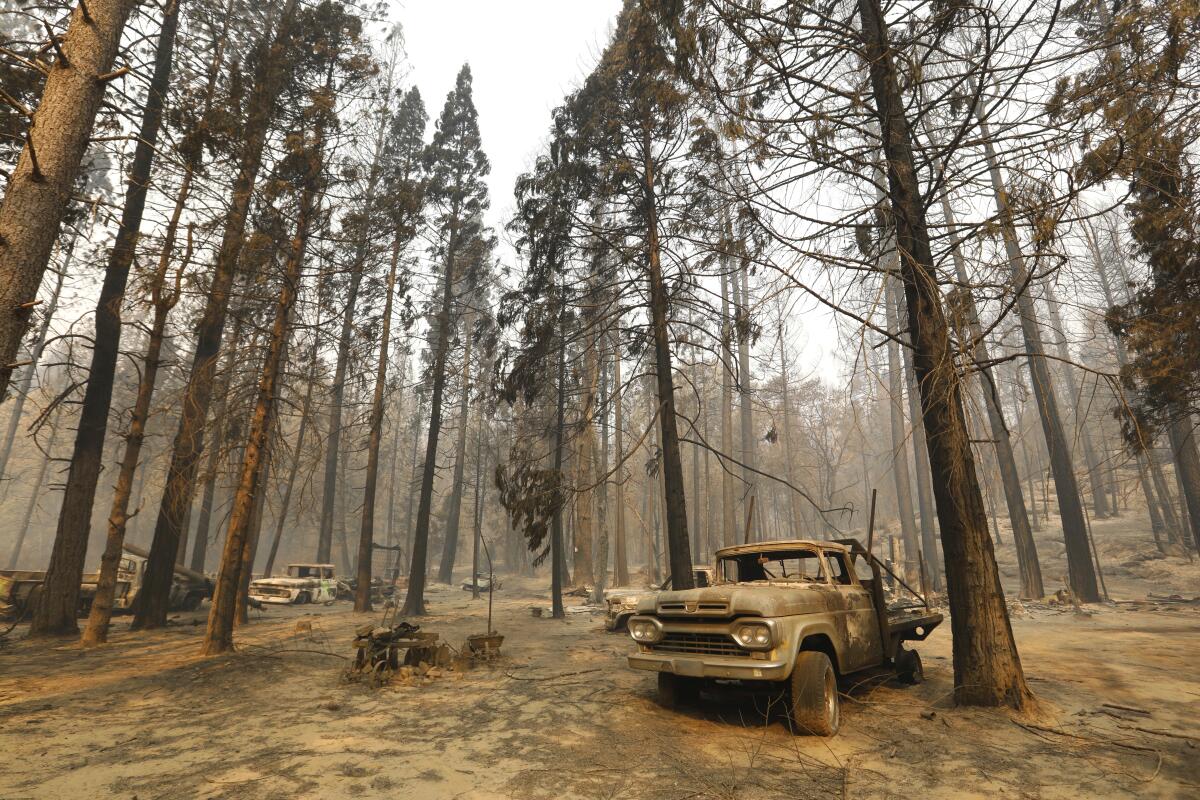 A truck parked amid a stand of trees in Berry Creek, where most of the victims of the North Complex fire lived