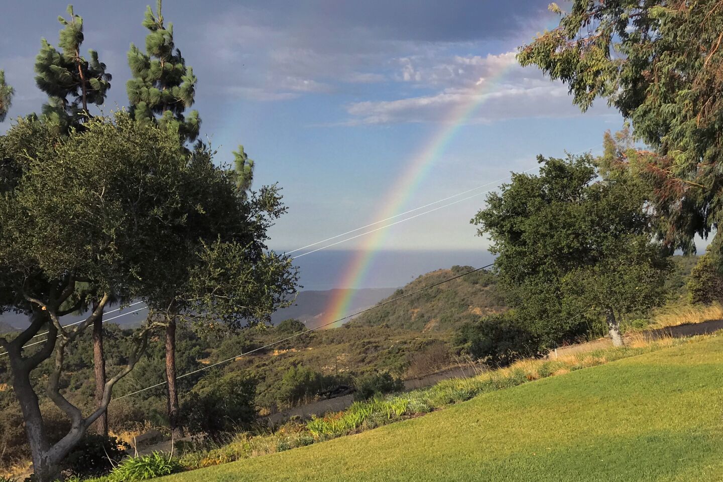 A rainbow seen through a break in trees in Santa Barbara.