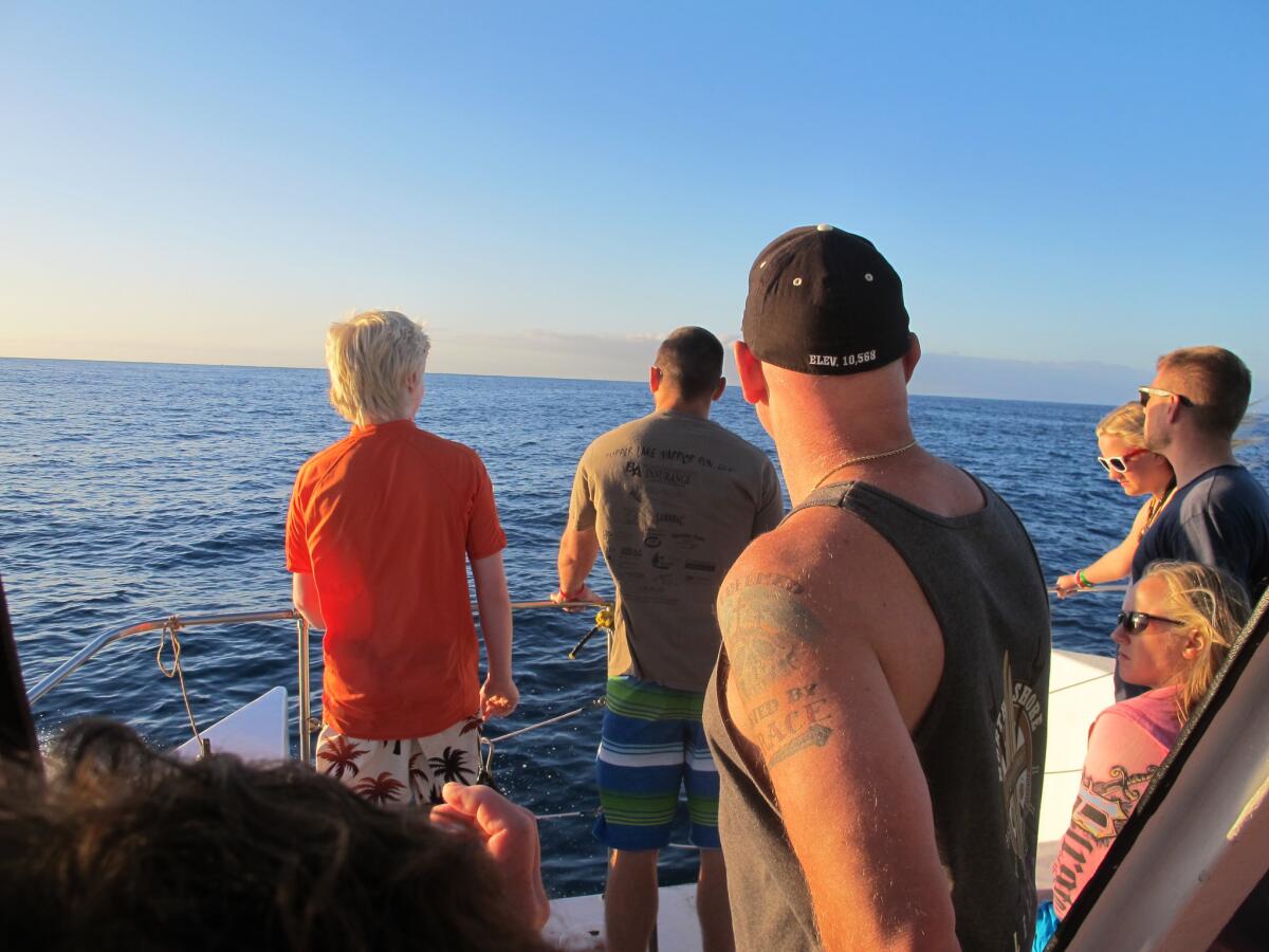 Tourists look for dolphins in the waters off Waianae, Hawaii.