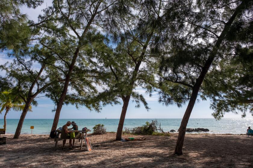 Beachgoers at Fort Zachary Taylor State Park, in Key West, Fla., sit at a picnic table under some trees.