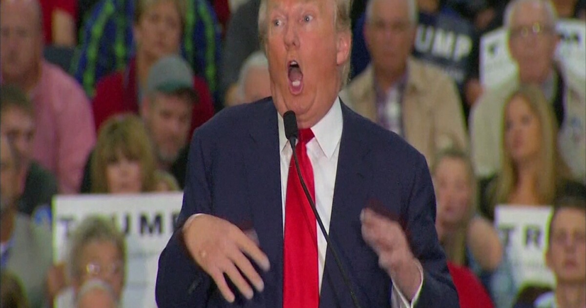 donald trump mocks disabled reporters