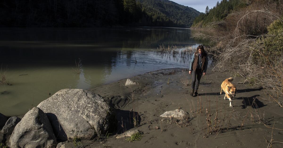 Suspected animal bones present in Humboldt County might be human