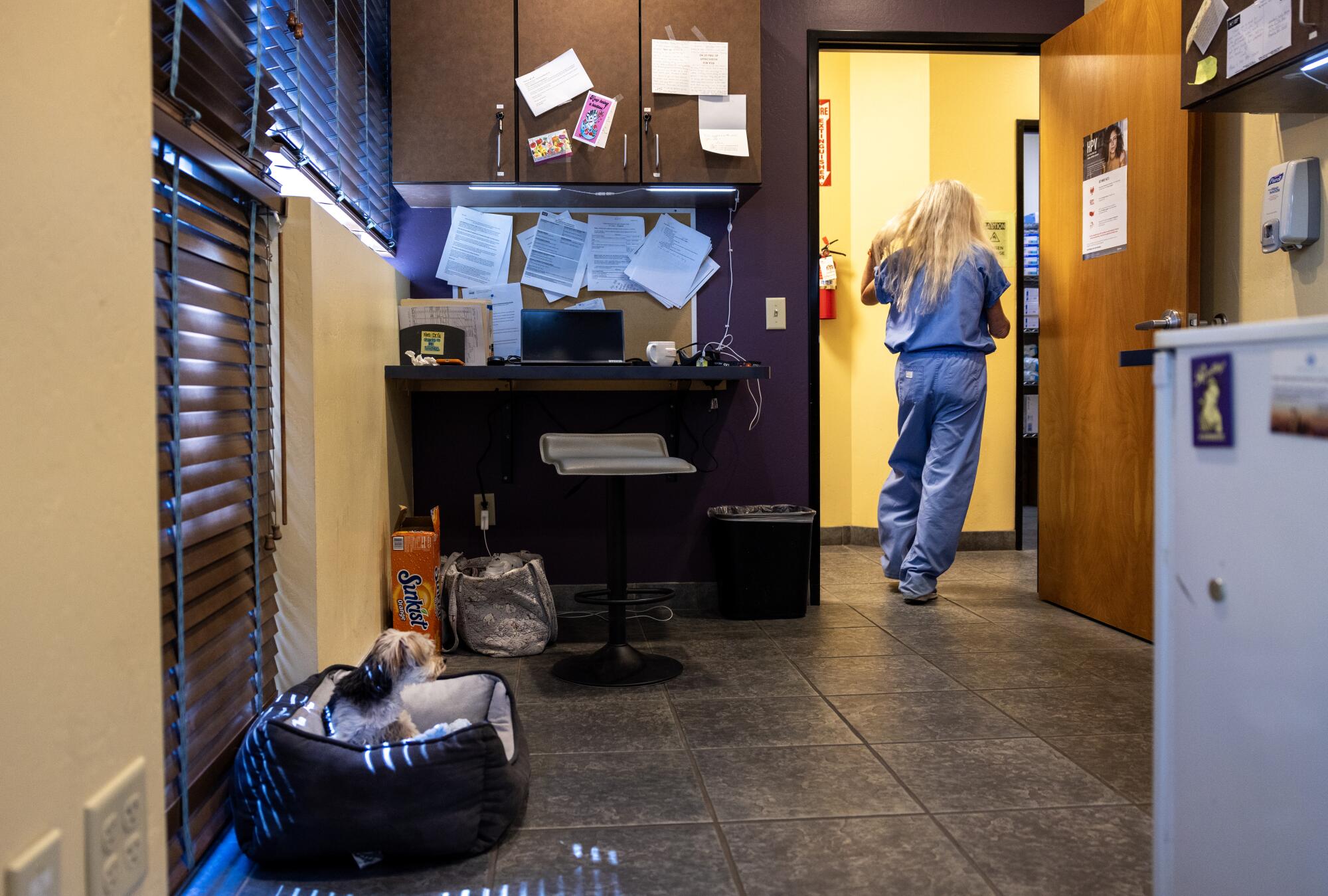 With her support dog Scooter staying in his bed, Dr. Barbara Zipkin rushes to an exam room at Camelback Family Planning.