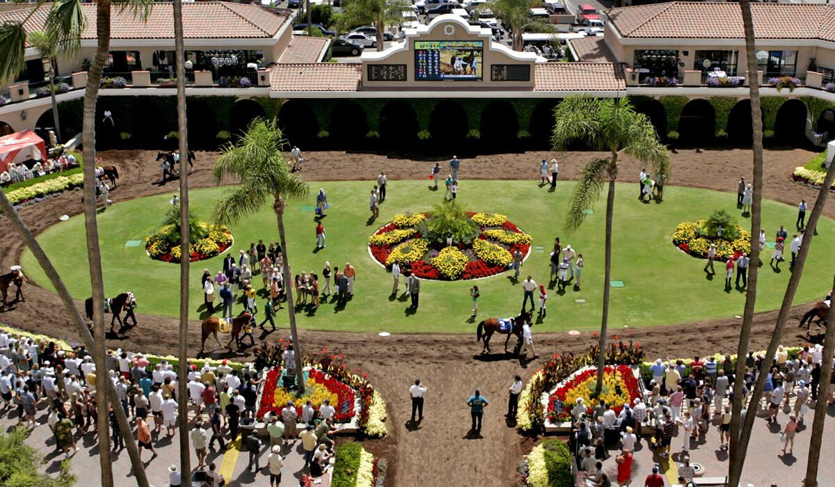 Horse racing fans gather in the paddock area before a race at Del Mar.