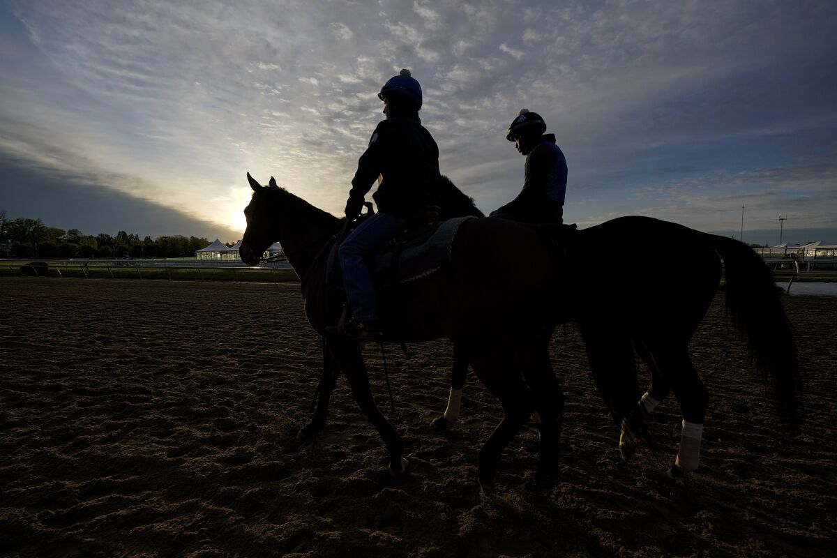 Preakness entrant Midnight Bourbon, right, walks on the track during a training session ahead of the Preakness Stakes horse race at Pimlico Race Course, Wednesday, May 12, 2021, in Baltimore. (AP Photo/Julio Cortez)