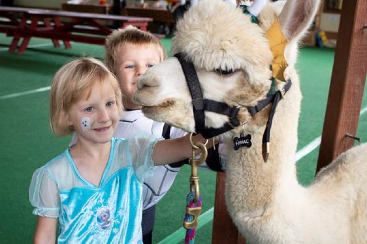 Kids meet cuddly and “creepy” critters at the Woodward Howl-O-Ween Harvest Family Festival.