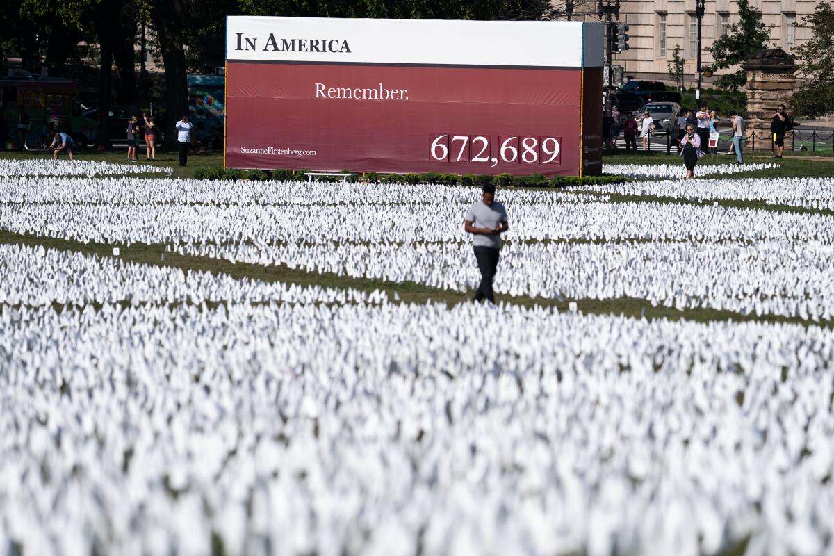 Flags planted on the National Mall for COVID deaths. A sign reads "In America" with the counter "672,689"