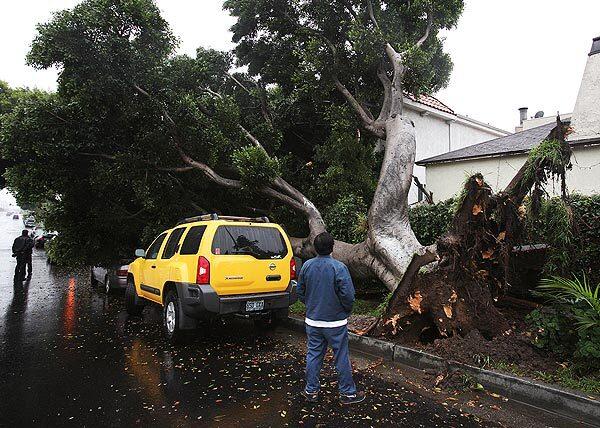 Rain damage