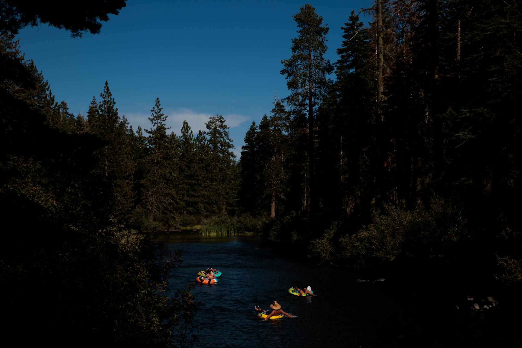 People tube in a wooded river.