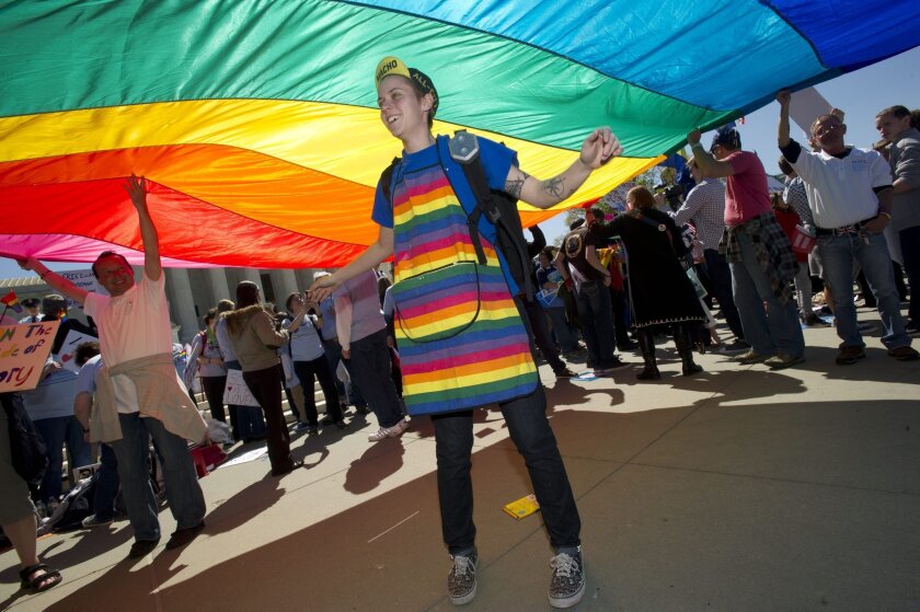Amanda Fouche of Washington, D.C., dances under a rainbow flag April 28 as the Supreme Court hears arguments on same-sex marriage.