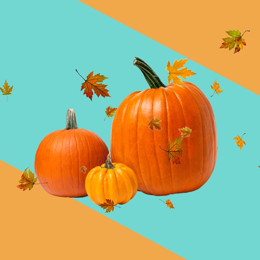 Pumpkins and fall leaves on a colorful background.