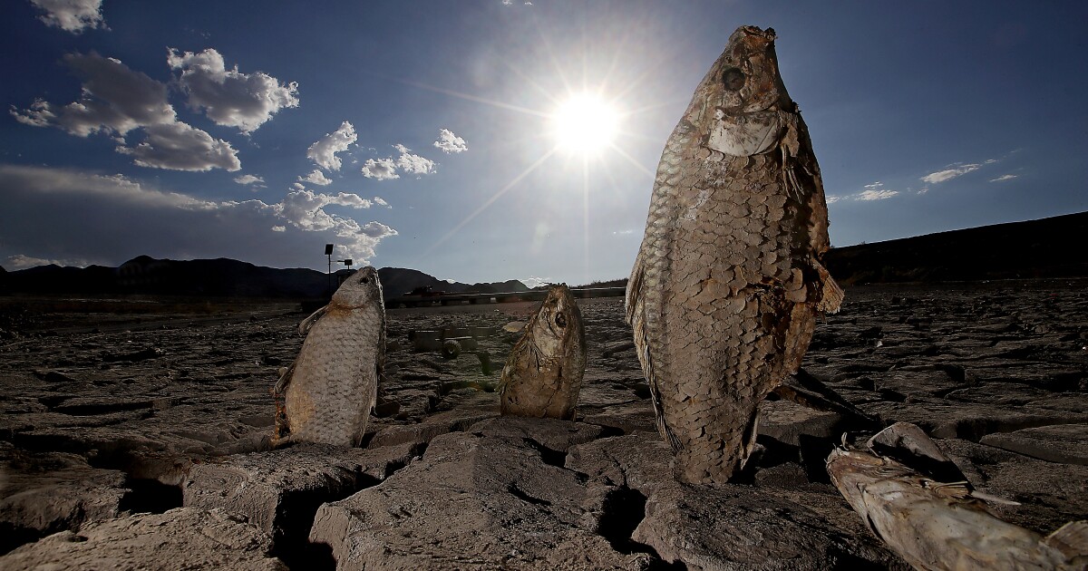 Fifth set of human remains found at diminishing Lake Mead Fifth set of human remains found at diminishing Lake Mead
