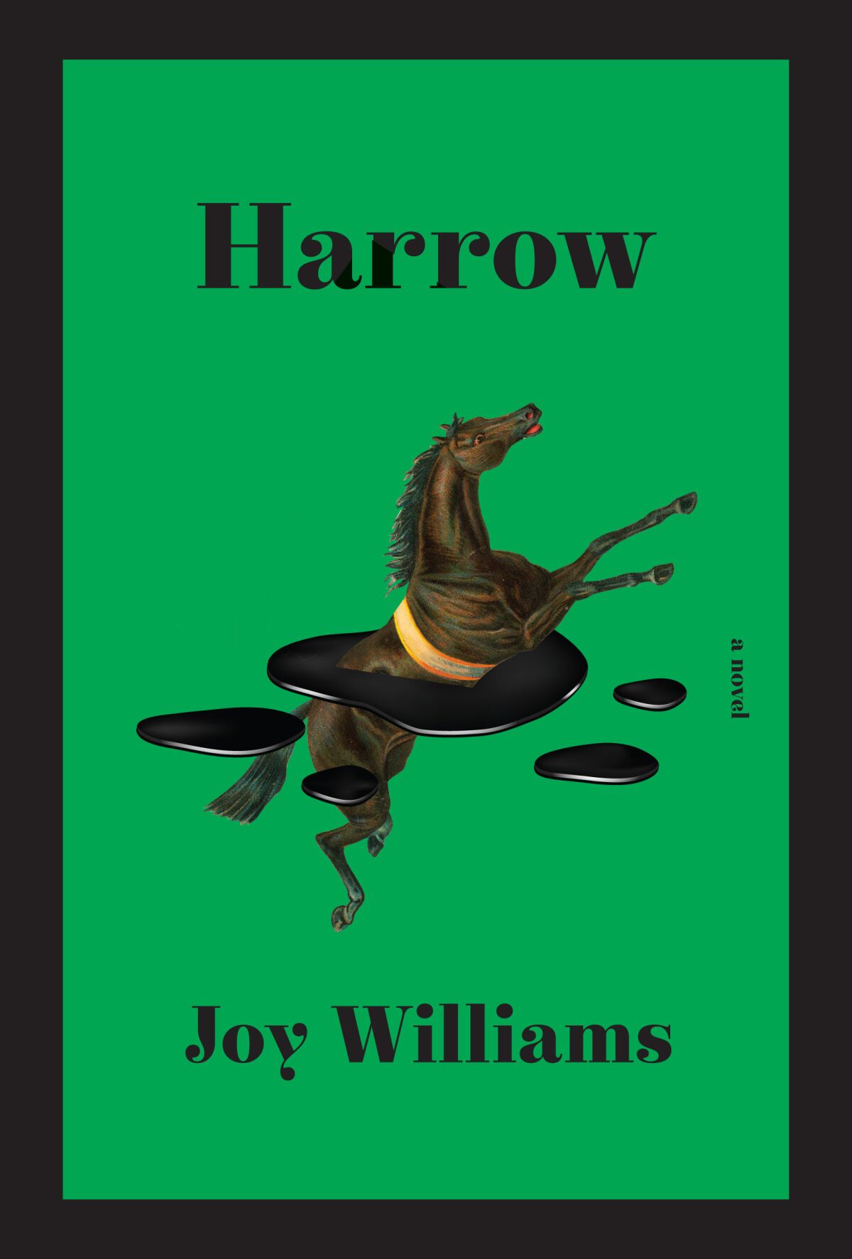 "Harrow," by Joy Williams