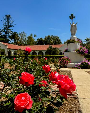 A photograph of the rose gardens at Dominguez Rancho Adobe.