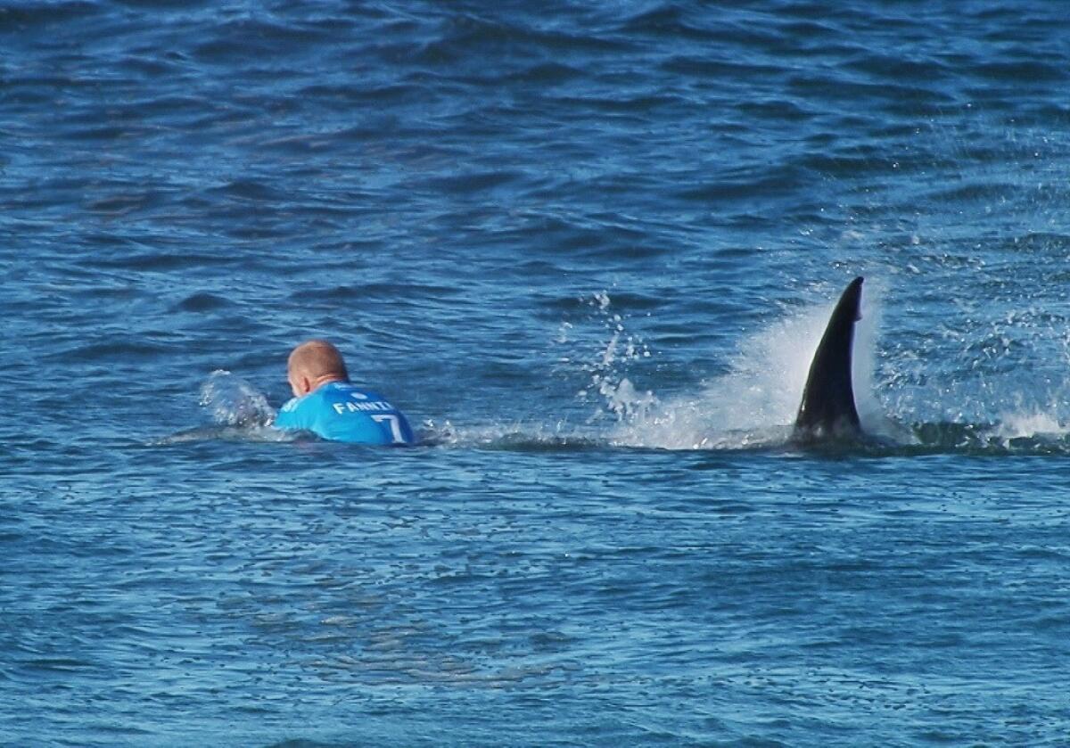 En esta imagen suministrada por la Liga Mundial de Surf, el surfista australiano Mick Fanning es perseguido por un tiburón durante una competencia en Jeffrey's Bay, Sudáfrica, el domingo, 19 de julio de 2015. (W orld Surf League via AP)