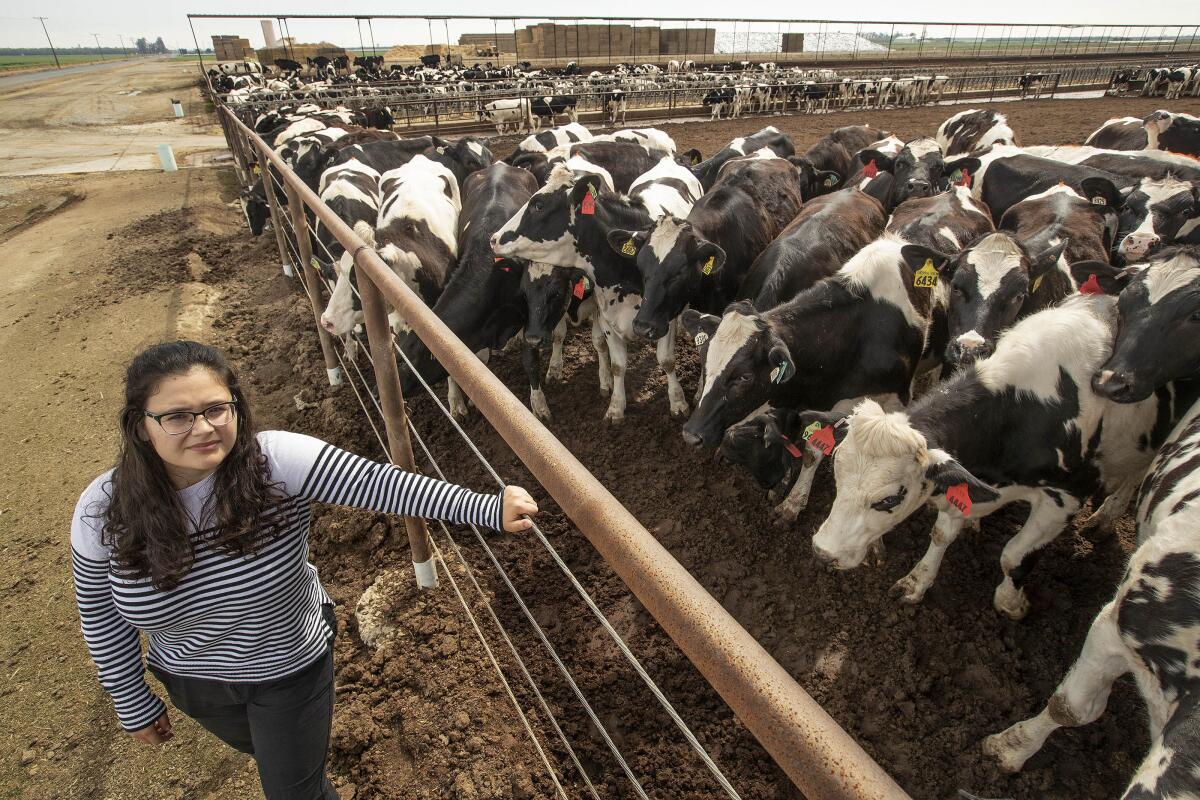 Blanca Escobedo at a dairy farm