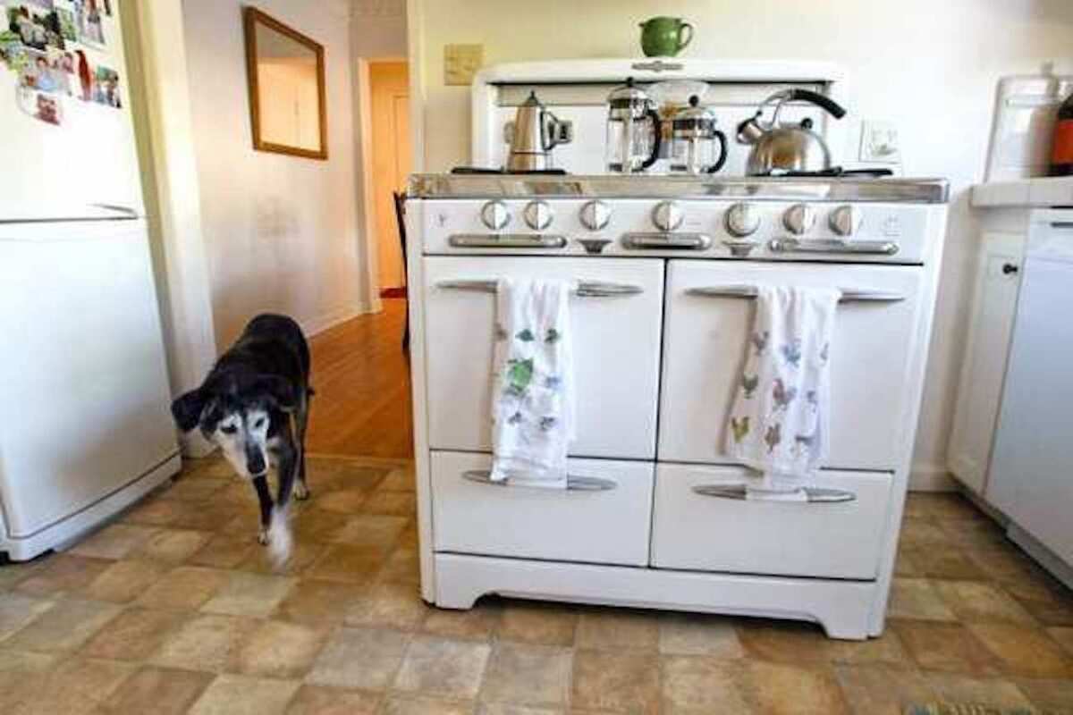 A dog, makes its way next to an O'Keefe & Merrit gas stove inside Suzanne Tracht's kitchen at her home in Los Angeles.