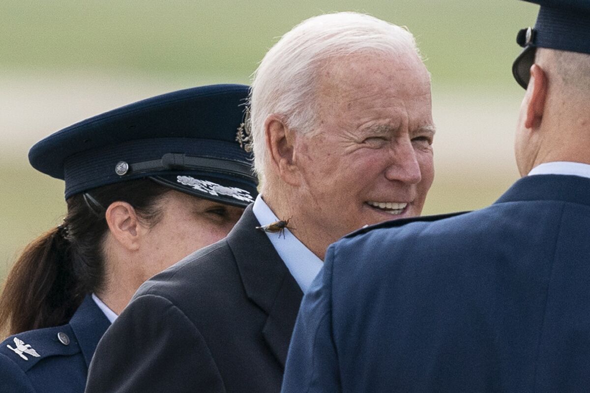 President Joe Biden, with a brood X cicada on his shirt collar, walks to board Air Force One upon departure, Wednesday, June 9, 2021, at Andrews Air Force Base, Md. Biden is embarking on the first overseas trip of his term, and is eager to reassert the United States on the world stage, steadying European allies deeply shaken by his predecessor and pushing democracy as the only bulwark to the rising forces of authoritarianism. (AP Photo/Alex Brandon)