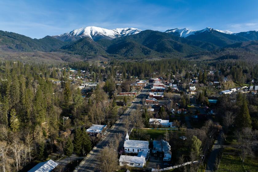 Weaverville, CA - April 21: Scene looking over Weaverville where a few miles out of the Trinity County town the owner of a cannabis farm locked up workers on his mountaintop ranch for 11 days in November after initially telling them it was a 2-day job, and then robbed them of pay Friday, April 21, 2023 in Weaverville, CA. (Brian van der Brug / Los Angeles Times)