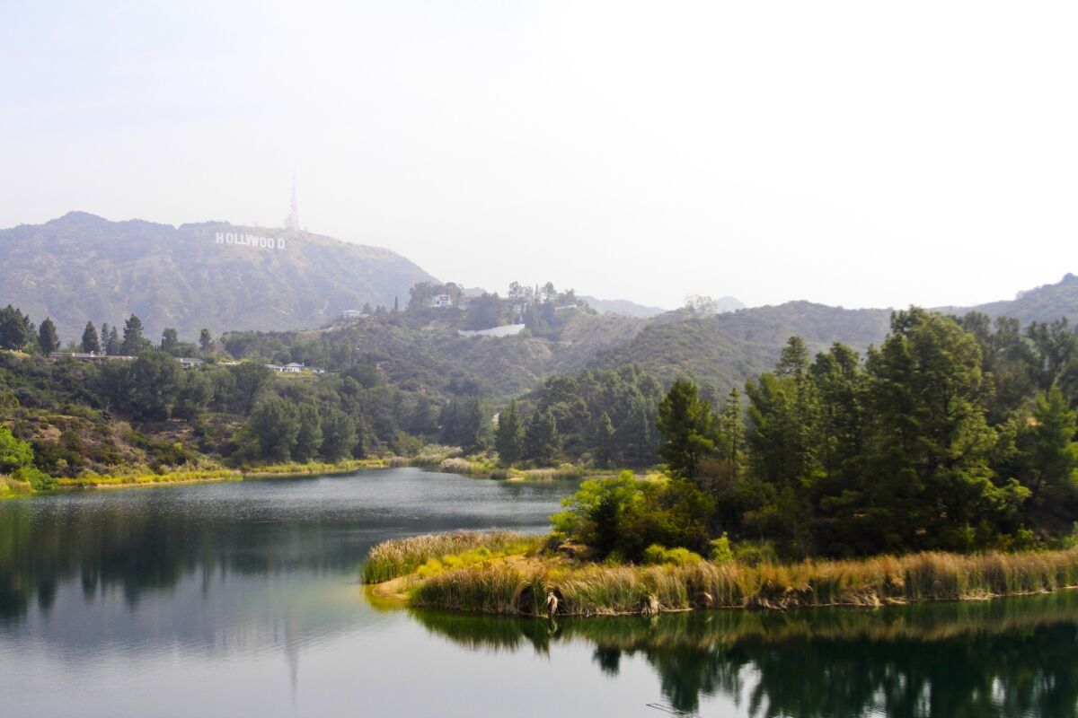 The lake offers peaceful views of both the Hollywood sign, seen in the background, as well as...