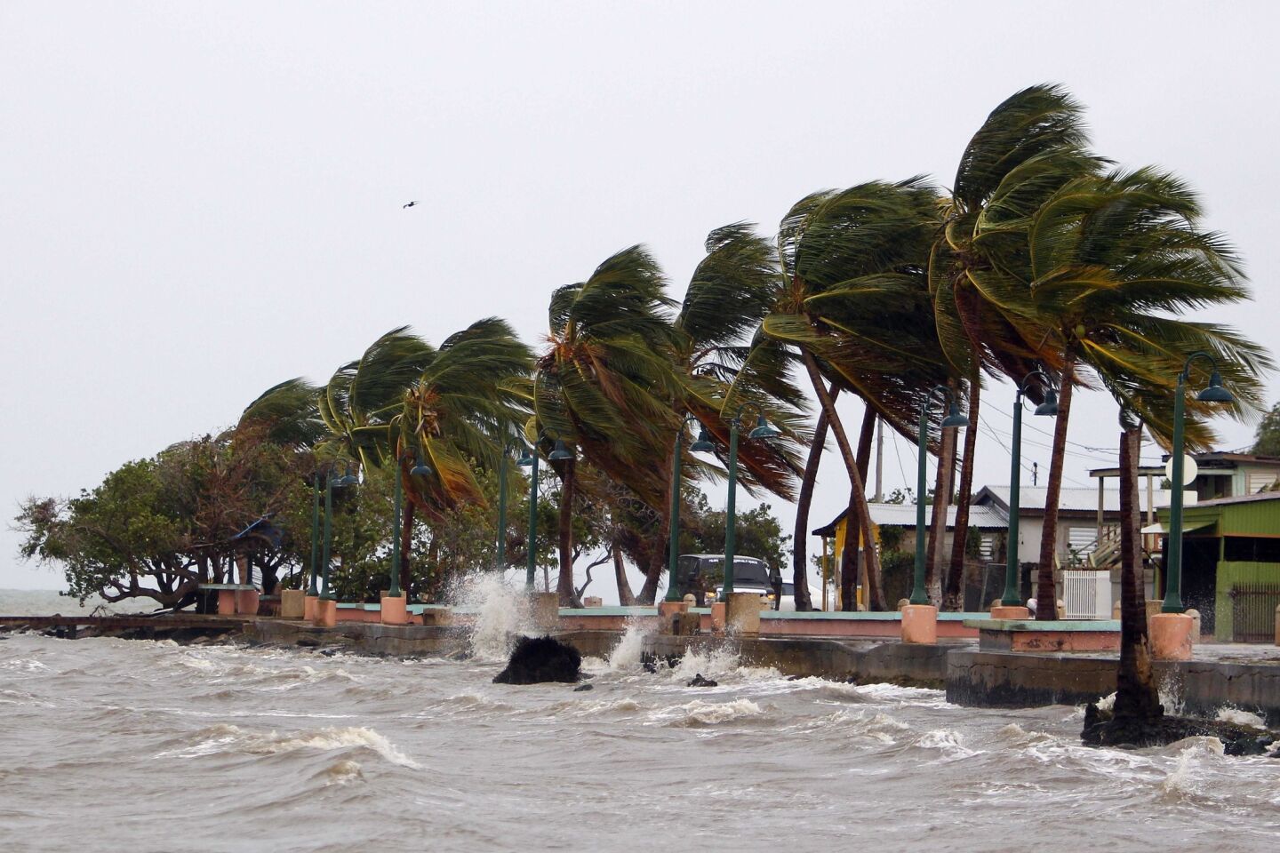 Winds lash the coastal city of Fajardo as Hurricane Maria approaches Puerto Rico.
