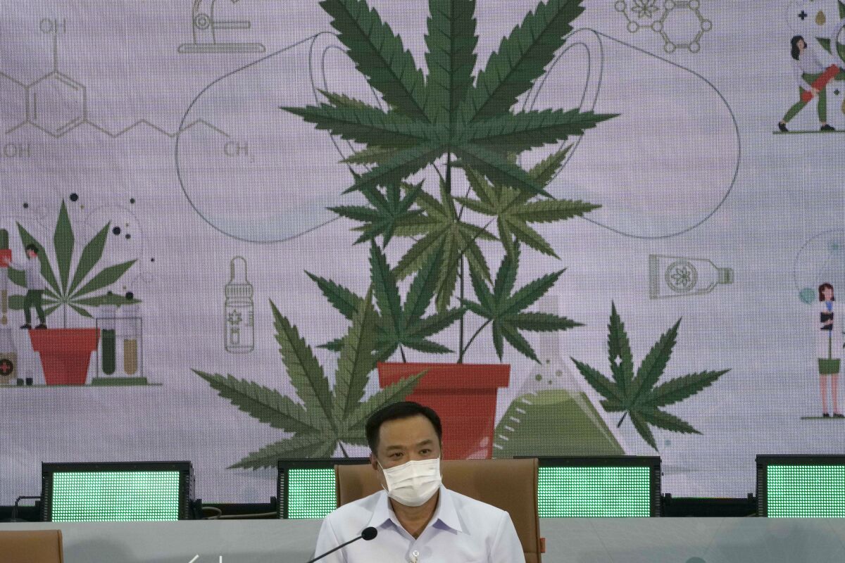 FILE - Thailand's Public Health Minister Anutin Charnvirakul speaks at a news conference at the Public Health Ministry in Nonthaburi, Thailand, Feb. 8, 2022, after signing a measure that drops cannabis from his ministry's list of controlled drugs. Charnvirakul, who has spearheaded the country’s drive to decriminalize cannabis, has said on Wednesday, May 11 the government will distribute 1 million of the plants free when most legal restrictions on production and possession of the drug are lifted next month. (AP Photo/Sakchai Lalit, file)