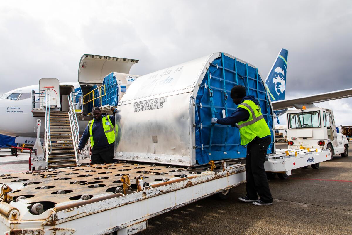 A worker loads cargo onto a plane.