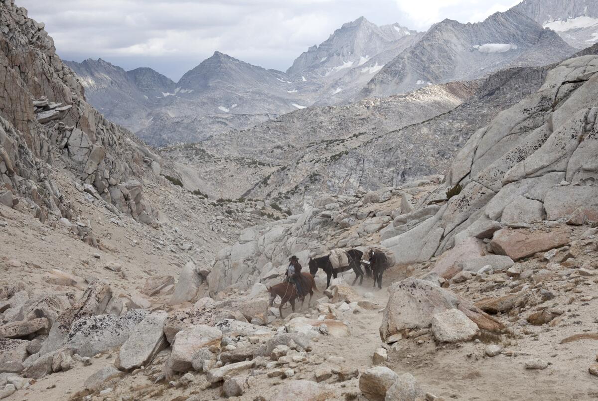 Mary Breckenridge crosses Mono Pass with her horse and mules. 