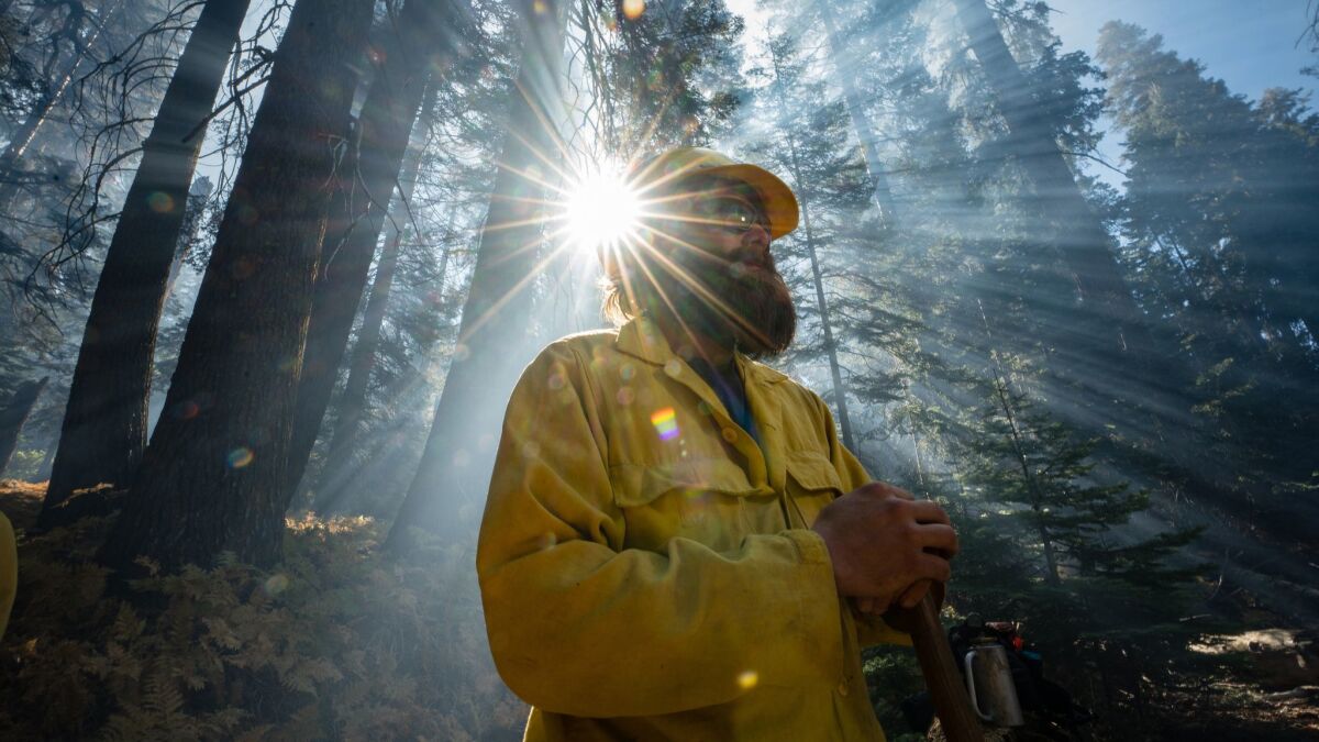 Firefighter Dave Purcell takes part in a controlled fire near General Sherman, the world's largest tree.