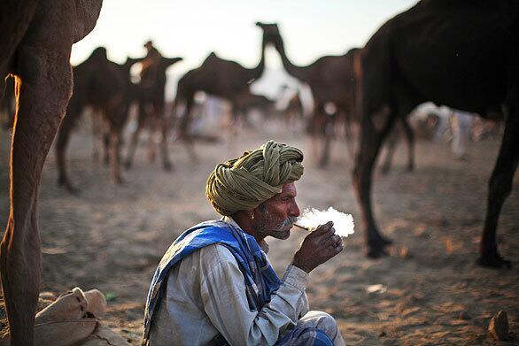 Pictures in the news: Rajasthan, India