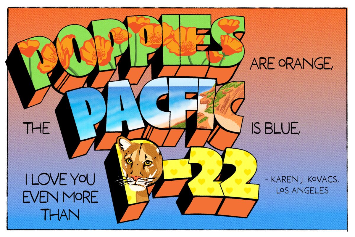poppies are orange, the pacific is blue, I love you even more than P-22