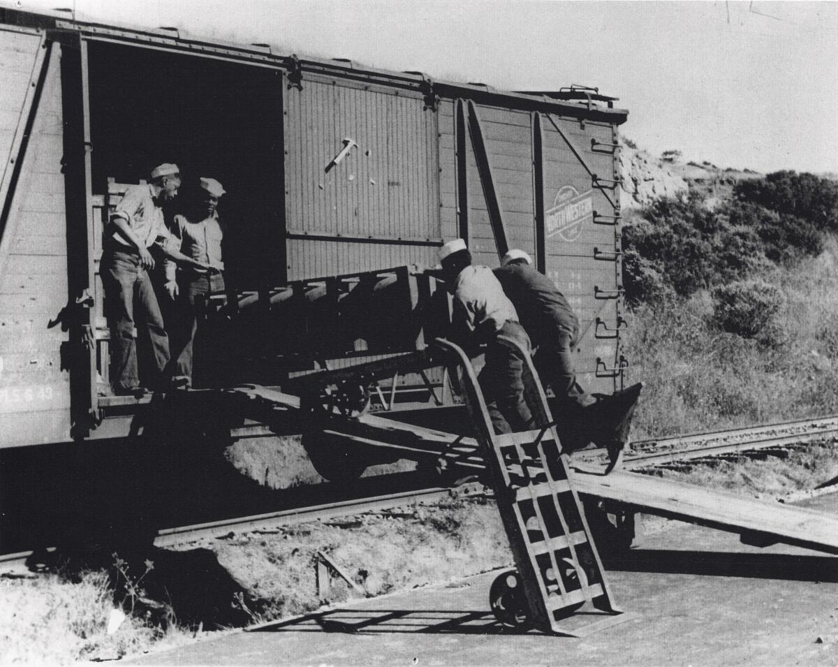African American sailors of a naval ordnance battalion unloading aerial bombs from a rail car, circa 1943/44