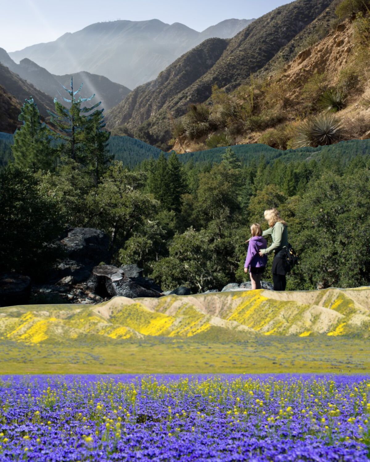 A photo illustration shows a child and adult, a field of flowers and mountains.