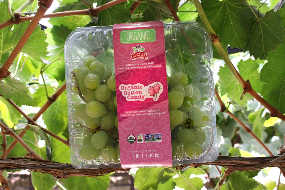 Shown here are Divine Flavor's iconic Organic Cotton Candy grapes.