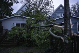 Un árbol caído por los vientos fuertes que trajo la tormenta Fiona y que azotaron la región atlántica de Canadá descansa sobre una casa el sábado 24 de septiembre de 2022 en Halifax, Canadá. (Darren Calabrese /The Canadian Press vía AP)