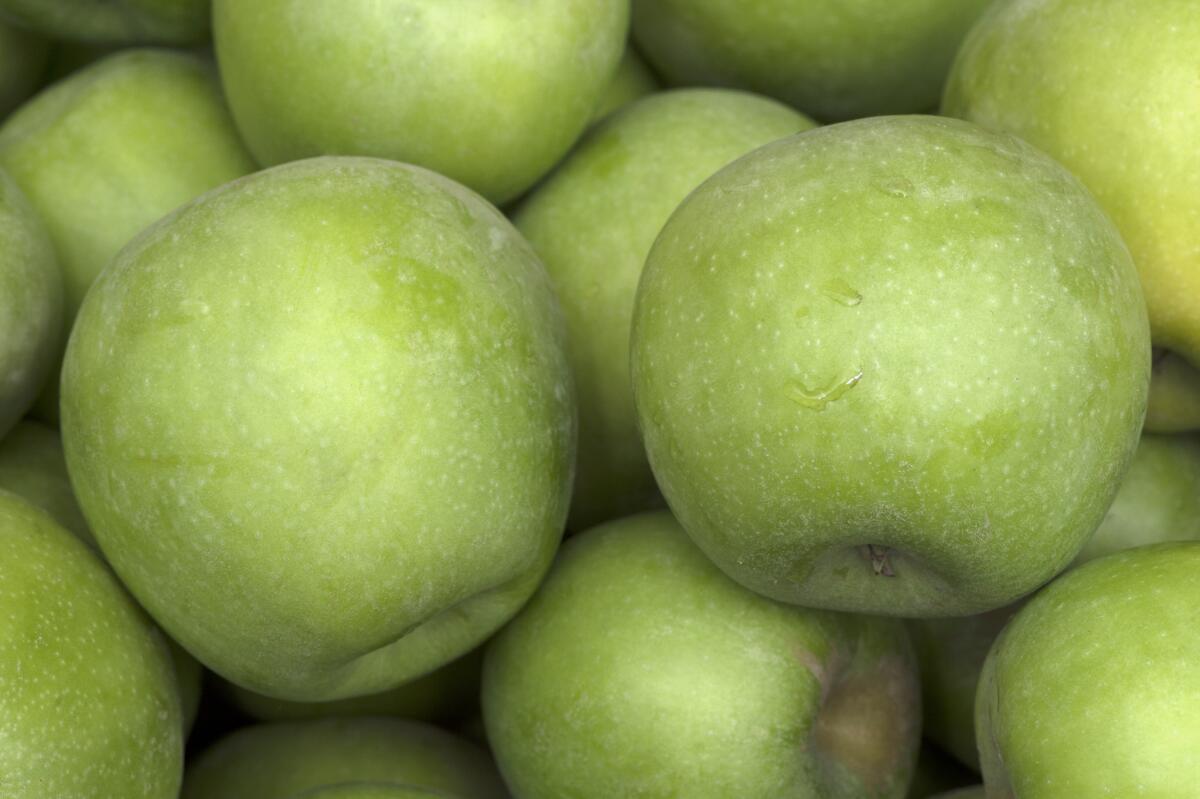 A California apple processor has issued a massive recall of Granny Smith and Gala apples after two strains of Listeria monocytogenes were found at its plant in Bakersfield. The apples are believed to be linked to the recent caramel apple recall.