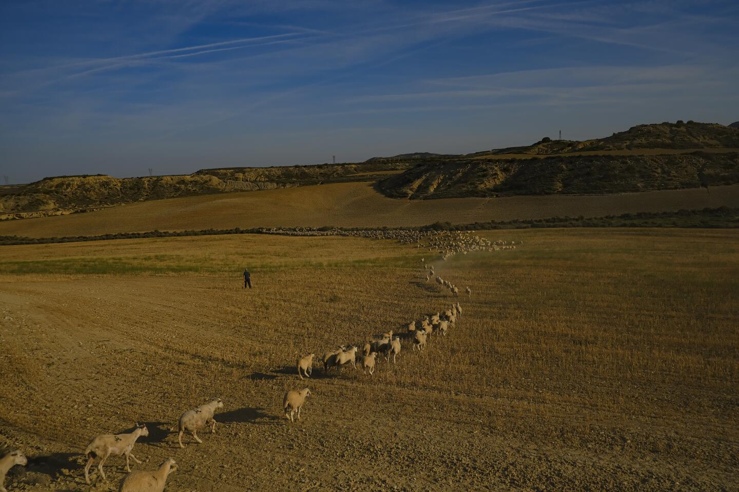 ESPAÑA-TRASHUMANCIA FOTOGALERÍA